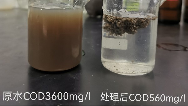 什么是污泥沉降比(SV)？